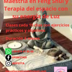 Curso/ Maestría en Feng Shui y terapia del espacio con energía de luz.